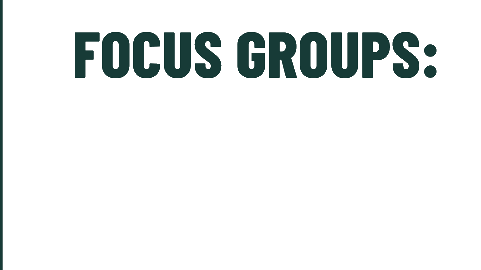 Text that reads focus groups: mayor's office, city reps, community leader